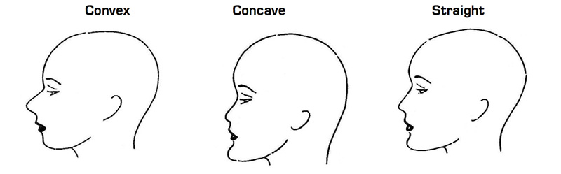 Which side profile type is most attractive for both genders? (Concave,  convex, straight). : r/QOVESStudio